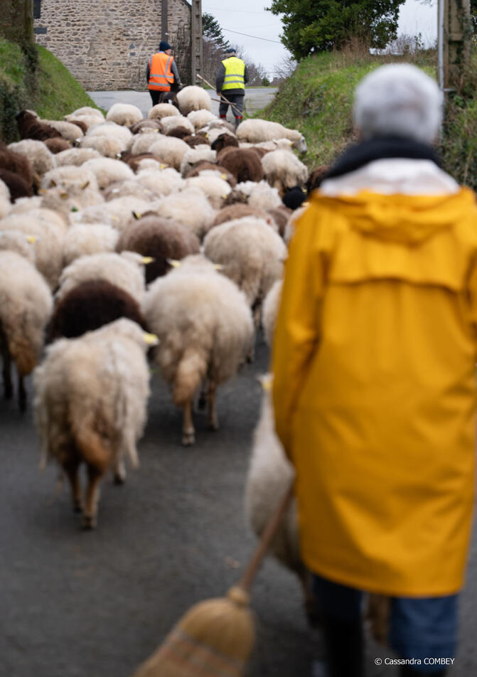 Photographe artisan Photo authentique Photo naturelle pour artisans Savoir-faire en image Capture de moments spontanés Reportage photo entreprise artisanale Valoriser votre travail en photo Photographe pour créateurs locaux Photo d’ambiance artisanale Phot