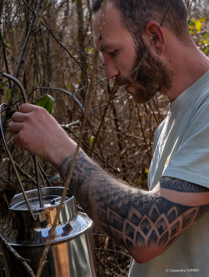 association, pépinière, photo, images, pas cher, fiable, jolie photographie, sans pression